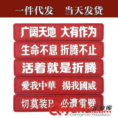 户外/军迷其他 PVC魔术贴臂章 胶皮章 长条章 胸条 党国干将 朝廷心腹