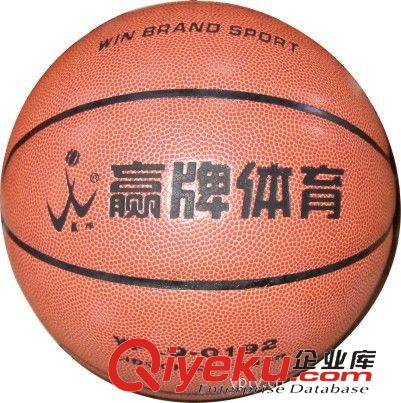 籃球用品 【廠家直銷】專業體育廠家專業生產單臂型籃球架
