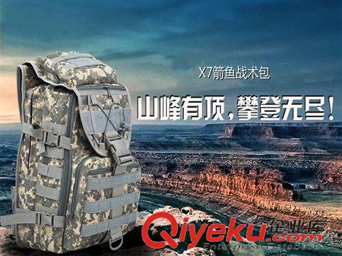 背包.斜挎包.腰包 工廠直銷 戶外雙肩背包 登山包 x7箭魚戰術包 現貨多色原始圖片2