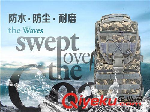 背包.斜挎包.腰包 工廠直銷 戶外雙肩背包 登山包 x7箭魚戰術包 現貨多色原始圖片3