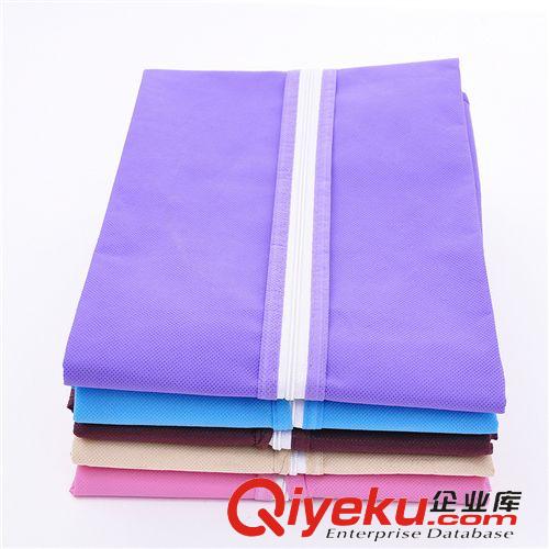 家居用品/House Supply 【火拼】衣服防塵罩 西服罩 防塵袋 糖果色透明視窗衣服罩 小號(hào)原始圖片2
