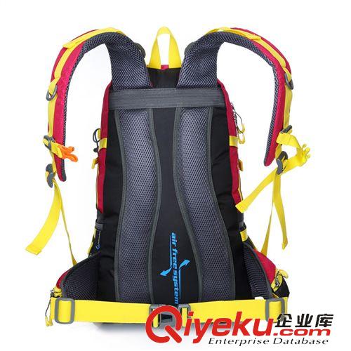 登山、徒步包 戶外背包超輕徒步旅行雙肩包40L zp登山包男女運(yùn)動(dòng)背包 招分銷原始圖片2