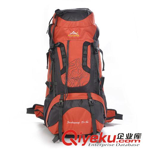 登山、徒步包 戶外背包超輕徒步旅行雙肩包40L zp登山包男女運(yùn)動(dòng)背包 招分銷
