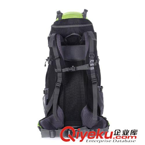 登山、徒步包 戶外登山包 雙肩旅行包 運動包 60L 大容量支架包 雙肩旅行包原始圖片2