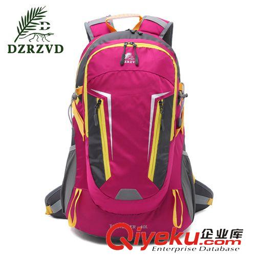 專業(yè)戶外登山包 廠家直銷2015新品大容量40L戶外包情侶雙肩背包防水登山包旅行包