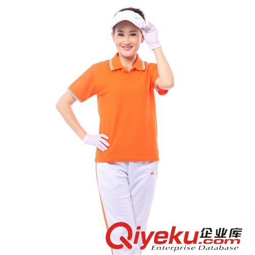 健身操短袖套裝 夏季休閑運動套裝 2015新款廣場舞表演服裝 純色短袖套裝熱賣批發