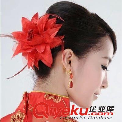 手套 帽子 頭飾 工廠直銷佳木斯健身操廣場舞運動服搭配民主風羽毛頭飾發飾