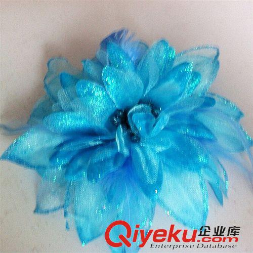 2015新品 工廠直銷佳木斯健身操廣場(chǎng)舞運(yùn)動(dòng)服搭配民主風(fēng)羽毛頭飾發(fā)飾原始圖片2