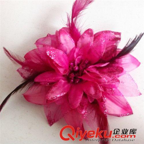 2015新品 工廠直銷佳木斯健身操廣場(chǎng)舞運(yùn)動(dòng)服搭配民主風(fēng)羽毛頭飾發(fā)飾原始圖片3