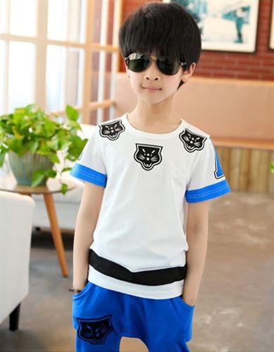 童套裝 男童套裝2015夏季純棉小孩衣服中大童休閑運動套裝兒童短袖t恤潮原始圖片2