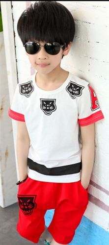 童套裝 男童套裝2015夏季純棉小孩衣服中大童休閑運動套裝兒童短袖t恤潮原始圖片3