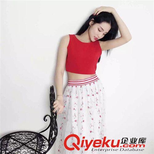 2015 0515 C-5區2132韓國代購實拍小白 時尚純色背心t恤+繡花半身長裙套裝