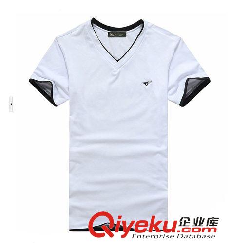 短袖T恤 一件代發2015夏季新品T恤男士純棉雙層領短袖T恤韓版潮流T恤定制