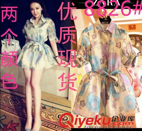 熱銷 歐洲站春裝女裝新款歐美dp歐根紗雪紡連衣裙早春風(fēng)衣裙原始圖片3