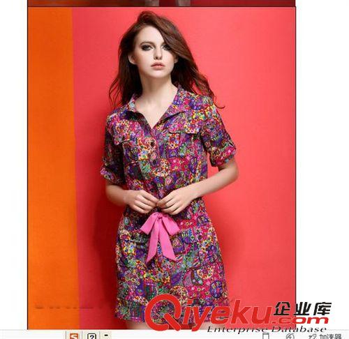 2015.4月第四周新品 廠家熱賣(mài)  2015歐美大牌印花寬松修身連衣裙女裝原始圖片2