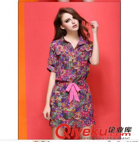 2015.4月第四周新品 廠家熱賣(mài)  2015歐美大牌印花寬松修身連衣裙女裝原始圖片3
