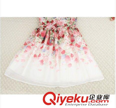 雪紡蕾絲系列 廠家直銷(xiāo)新款2015夏季甜美淑女印花朵圓領(lǐng)雪紡無(wú)袖背心裙連衣裙子原始圖片2