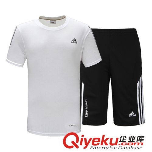 運(yùn)動(dòng)、休閑套裝 2015夏季新款純棉運(yùn)動(dòng)服T恤男短袖休閑套裝短褲運(yùn)動(dòng)套裝一件代發(fā)原始圖片2