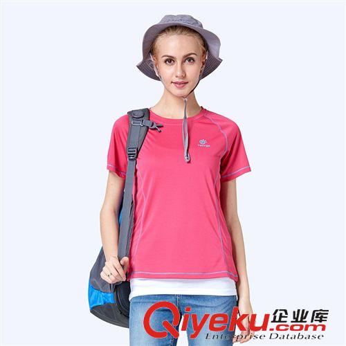 上新季 品牌速干短t 速干圓領(lǐng)短袖上衣男款 情侶速干短t夏款新品 5013