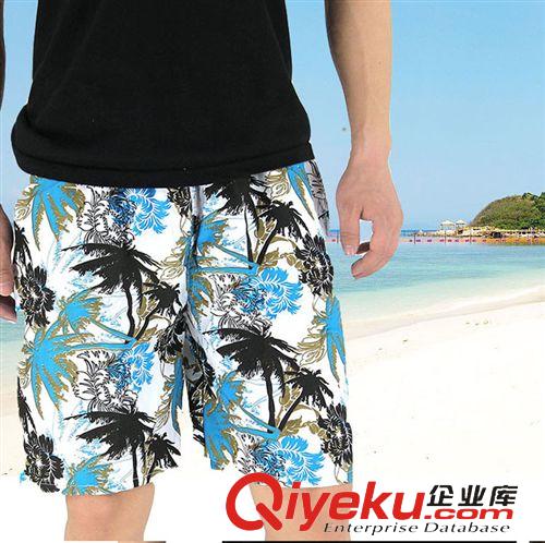 2015夏季新品 男式休閑沙灘褲 男短褲 男士沙灘褲 夏天大碼速干男士休閑沙灘褲原始圖片3