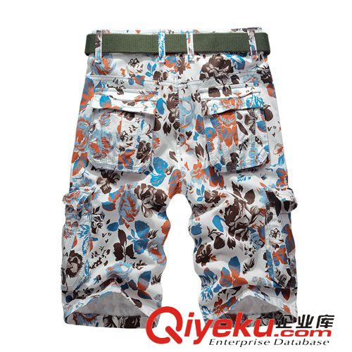 夏季短褲 廠家直銷品牌男式休閑褲 全棉大碼工裝短褲 多口袋迷彩休閑沙灘褲原始圖片2