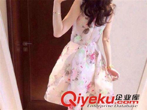 連衣裙 2015春夏新款歐根紗連衣裙蓬蓬裙女顯瘦氣質印花小清新裙子原始圖片2