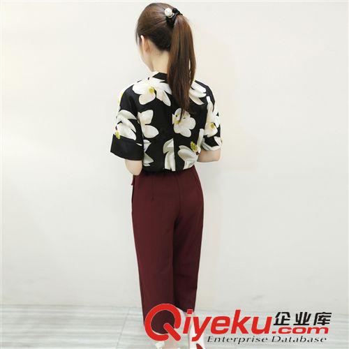      六月新款  2015夏季新款歐美女裝棉麻印花寬松短袖圓領(lǐng)T恤闊腿褲時(shí)尚套裝女原始圖片3