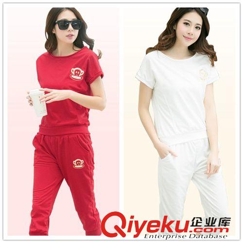    淘寶爆款 歐洲站2015春夏裝新款歐美印花雪紡衫棉麻半身裙歐根紗時(shí)尚套裝女