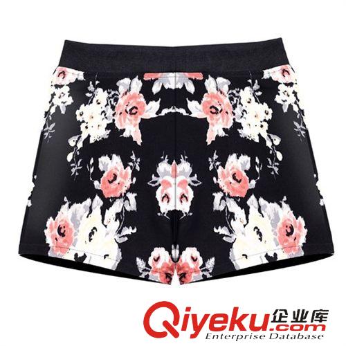  4月26日上新 2015夏季新款歐美胖MM套裝長(zhǎng)袖圓領(lǐng)數(shù)碼印花T恤寬松短褲兩件套女原始圖片3