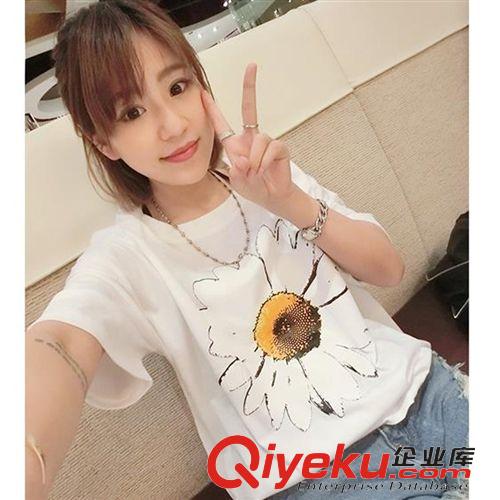5月3日新款 2015韓國夏季新款女裝超美小花朵小雛菊大愛棉質(zhì)短袖百搭T恤原始圖片3