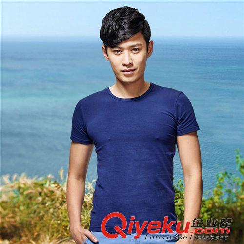 T恤 廠家批發(fā)2015夏季男裝新品 潮流百搭透氣純棉男式圓領(lǐng)短袖休閑t恤原始圖片2