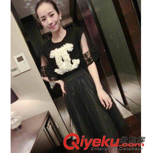 四月新款 2015夏裝新款歐美圓領(lǐng)時(shí)尚中袖圖案T恤+修身網(wǎng)紗裙連衣裙
