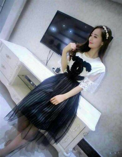 四月新款 2015夏裝新款歐美圓領(lǐng)時(shí)尚中袖圖案T恤+修身網(wǎng)紗裙連衣裙