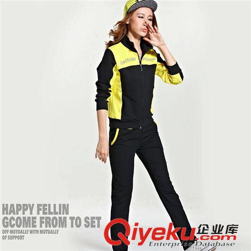按價格分類 2015春季新款女式立領(lǐng)衛(wèi)衣兩件套 春秋時尚開衫拼色運動風(fēng)套裝
