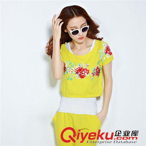 套裝 運(yùn)動(dòng)套裝女款夏休閑套裝女夏裝運(yùn)動(dòng)服短袖2015夏季套裝女 好質(zhì)量