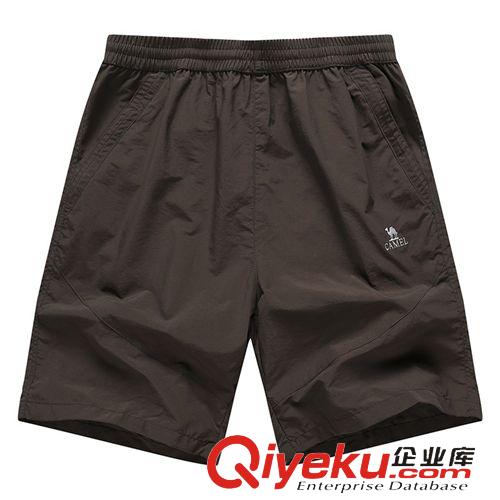 沖鋒衣、褲 男士登山褲 夏季男士戶(hù)外速干沖鋒短褲 休閑沖鋒五分褲批發(fā)原始圖片3