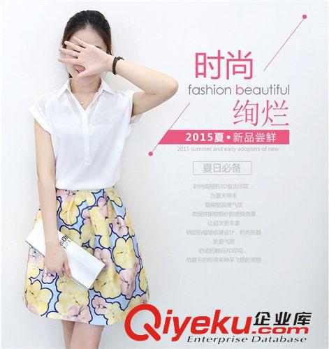 套裝 2015韓版春夏新款女裝兩件套高腰連衣裙 上衣蓬蓬a字裙女原始圖片2