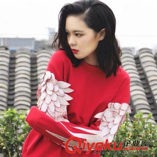 2015.03.23特別款 duang明星同款鶴影天使翅膀羽毛袖子衛衣刺繡女神新衣男女情侶裝原始圖片3