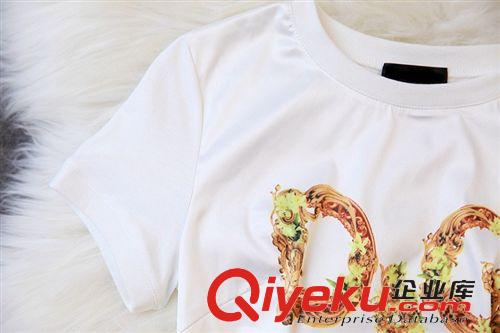 五月新品三期 歐洲站2015歐美夏裝女裝新款DGT恤印花上衣花色短裙短袖套裝原始圖片3