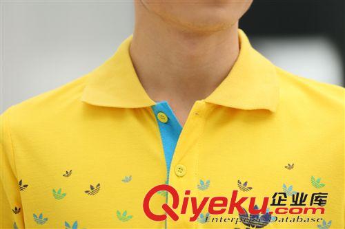 夏裝短袖T恤 2015夏季男式純棉運動短袖T恤男 夏天潮男大碼立領半袖體恤衫原始圖片3
