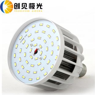 LED球泡燈 廠家直銷 led大球泡燈 led鳥籠球泡燈 15w18w24w36w50w 質保兩年