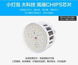 led球泡灯 厂家直销 大功率塑料led球泡灯 led节能灯led灯 led灯泡18w36w