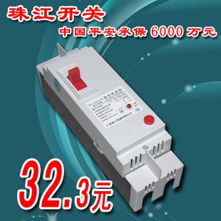 珠江開(kāi)關(guān) 珠江開(kāi)關(guān) DZ47-63/2P 小型斷路器 漏電開(kāi)關(guān) zptj