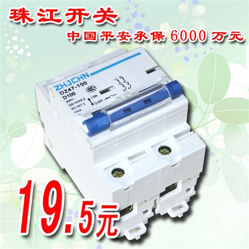 珠江開關 珠江開關 DZ47-100/2P 小型斷路器 漏電開關 zptj