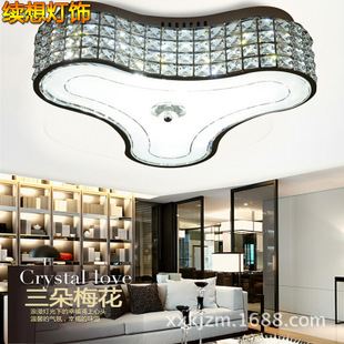 臥室吸頂燈 續(xù)想 現(xiàn)代簡約異形水晶吸頂燈 燈具批發(fā) 新款led吸頂燈 臥室燈原始圖片2