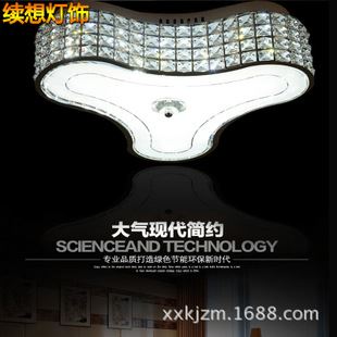 臥室吸頂燈 續(xù)想 現(xiàn)代簡約異形水晶吸頂燈 燈具批發(fā) 新款led吸頂燈 臥室燈原始圖片3