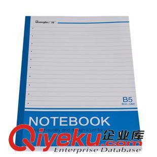 軟面抄 廣博 大號(hào)軟面抄筆記本子 學(xué)生記事日記本辦公簡(jiǎn)約40頁GBR0723原始圖片2