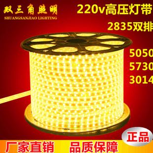 220v軟燈帶 一米60珠防電防水高壓5050LED貼片燈帶 柔性 軟燈條220v廠家直銷