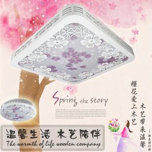 LED吸頂燈 新品麗供應(yīng)led吸頂燈 現(xiàn)代方形 木藝羊皮 臥室吸頂燈 雙色客房燈