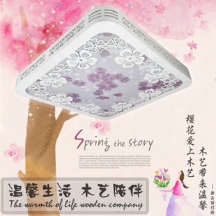 LED吸頂燈 新品麗供應(yīng)led吸頂燈 現(xiàn)代方形 木藝羊皮 臥室吸頂燈 雙色客房燈